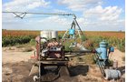 Property photo 77 - LAND AUCTION, 3255+/- Acres offered in 13 Tracts